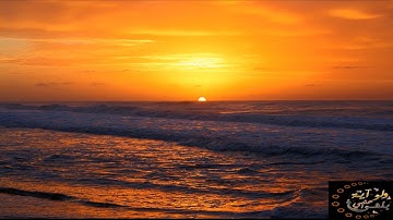 تلاوة جميلة جدا | سورة الفجر ~ للقاري نايف الفيصل