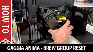 How to Reset a Gaggia Anima Brew Unit - Solves Drip Tray and Brew Unit Insertion Problems