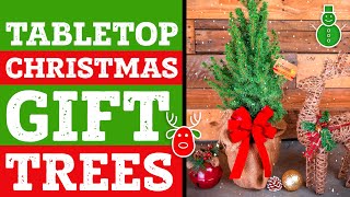 Tabletop Christmas Tree |  Live Tabletop Christmas Tree | Mini Christmas Tree | PlantingTree™