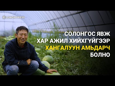 Видео: Украйн дахь зөгийн аж ахуй: бизнесээ хэрхэн хөгжүүлэх вэ