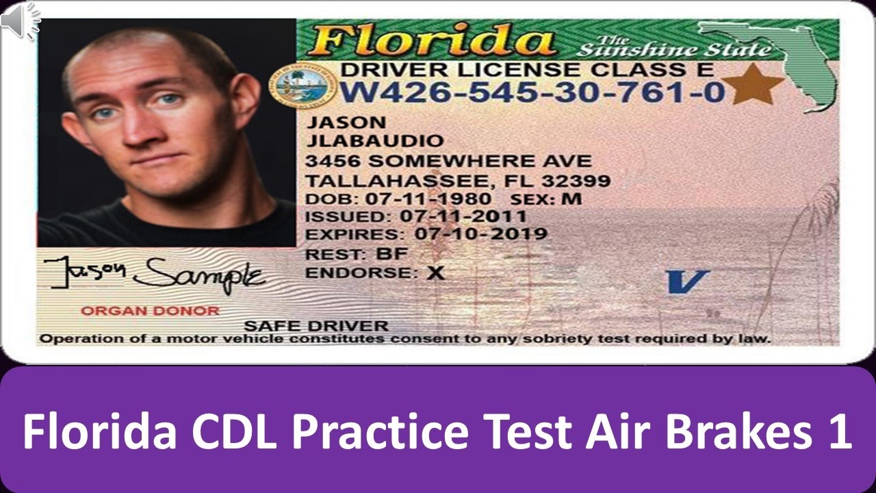 check dmv florida drivers license