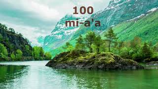 Arabic Numbers 1-100.