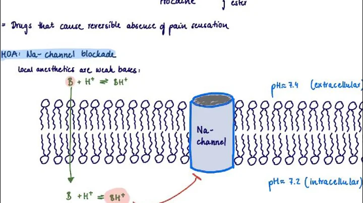 Brandl's Basics: Mechanism of action of local anesthetics