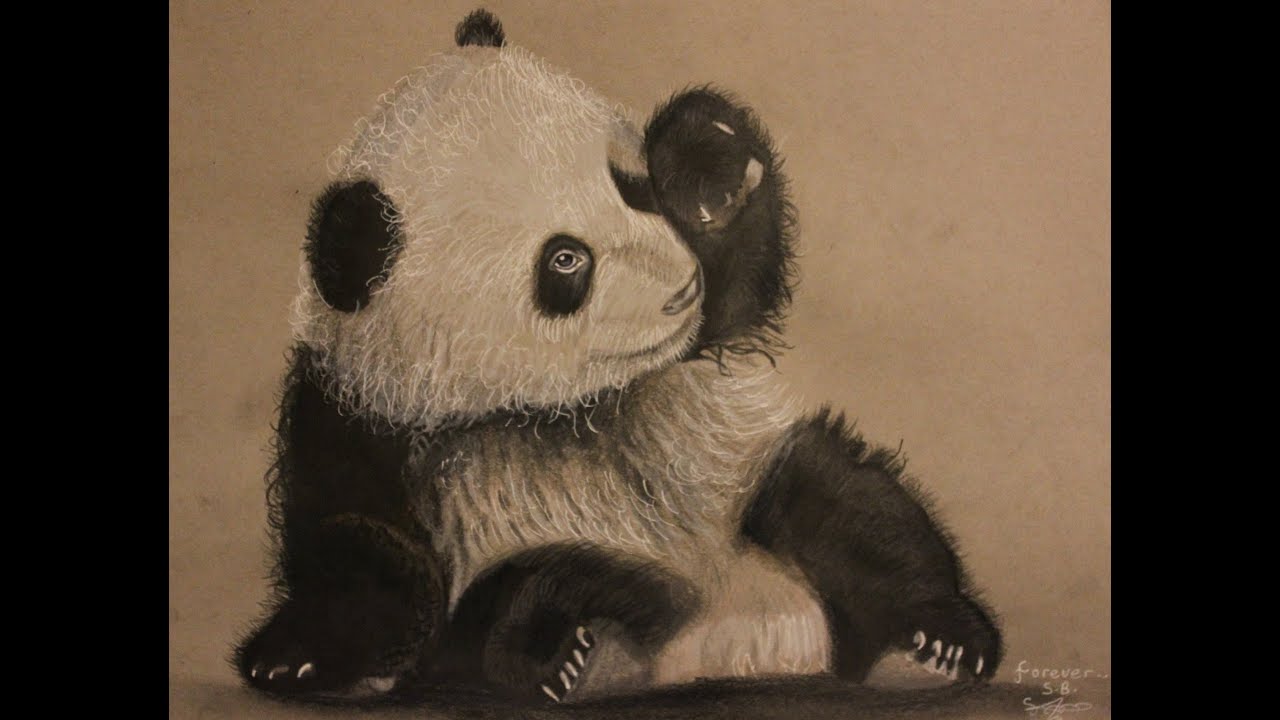 Cute Sketch Baby Panda Drawing with simple drawing