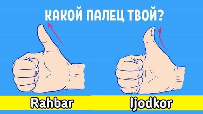 Ginekolog talabalari Derzhak eshakdagi fotosurat