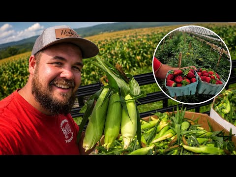 The Side of Vegetable Farming You Never See