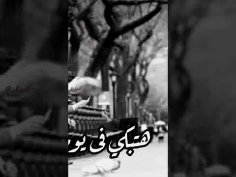 اغنيه حالات واتس عربيه مصريه عمرو دياب ياريت يا قلبي ماكنت قلبي