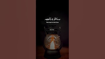 تلاوة خاشعة ومؤثرة بصوت الشيخ ياسر الدوسري ليرتاح قلبك ♡ #ياسر_الدوسري