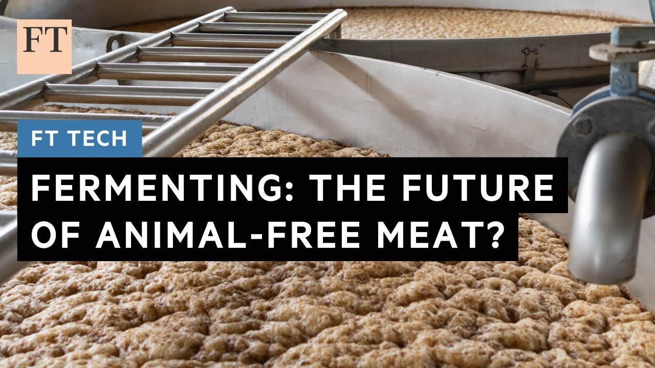 Fermenting: the future of animal-free meat?  | FT Tech