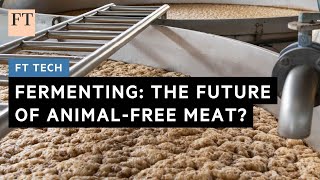 Fermenting: the future of animalfree meat?  | FT Tech