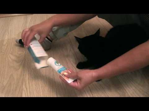 Фитопаста - еда для котов-космонавтов😋