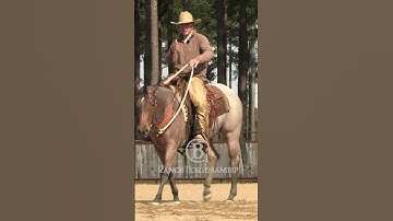 Neck reining is a natural progression.