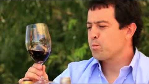 OVEJA NEGRA Wines - Chilean Winemaker