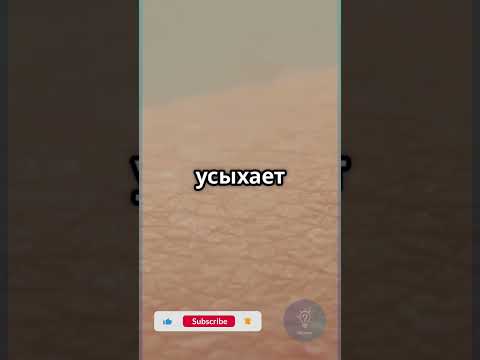 Растут ли волосы после смерти? #Факт #Миф #Shorts #Тело #факты #shortvideo #iqcheck #viralvideo