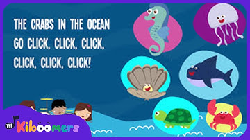 Animals In The Ocean Lyric Video - The Kiboomers Preschool Songs & Nursery Rhymes About the Ocean
