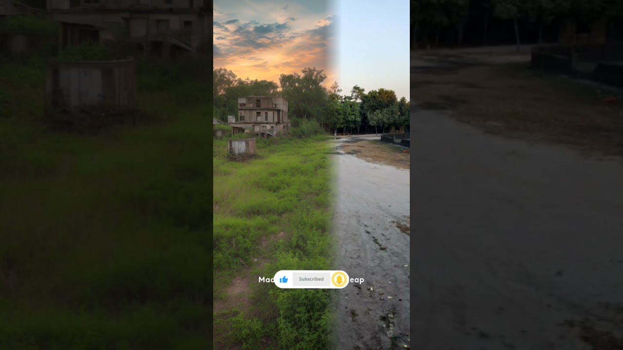 photoleap photo editor/al art 