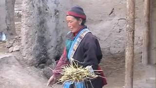 Tibetan Woman's life