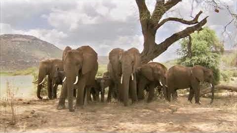 Cutting Edge Elementary Unit 11