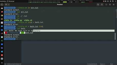 Linux: Standard IO, Exit Codes, and Command Interpolation