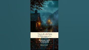 هنگامی که حضرت یوسف نازل شد - سوره یوسف (88-90) | کمیاب سوسی قرعه #قرآن #قیرات