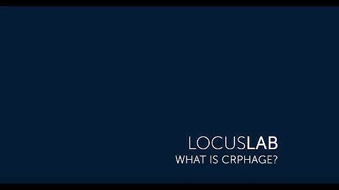 What is CRISPR Phage?