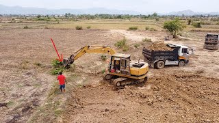 Mini Cat Excavator​ Dig The Dirt On Dump Truck At The Rice Fields  EP362