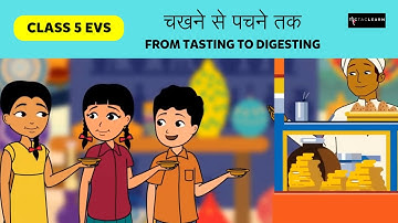 चखने से पचने तक | Part 1/2 | From Tasting To Digesting | Class 5 EVS Chapter 3 | TicTacLearn