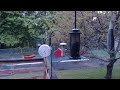 Connecticut Bird Feeder Live Stream