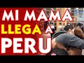 Mi MAMÁ LLEGA a PERÚ y Fuimos al Super MERCADO / VENEZOLANOS EN PERÚ / MUNDOALEXO 2019