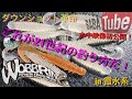 BABATube これが21世紀の釣りだ！ダウンショット革命『21世紀のダウンショット』