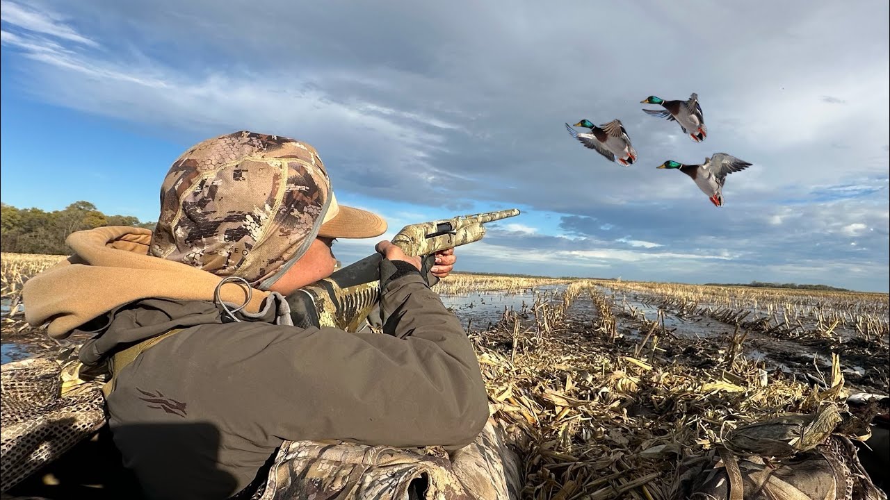 Охота на уток в затопленной кукурузе без предварительной записи! (Лимит 2 человек)