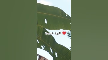 تلاوة خاشعة#تلاوة_هادئة #تلاوة_خاشعة #اسلام_صبحي#خواتيم_سورة_المؤمنون #إسلام_صبحي #قرآن_كريم #الرحمن