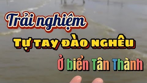 [Gò Công] Trải nghiệm tự tay đào nghêu ở biển Tân Thành - Gò Công