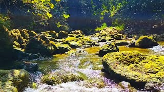 Relaxing river sounds for peace of mind make you calm and sleep soundly