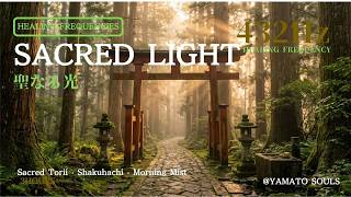 SACRED LIGHT — 聖なる光 — 3 Hours Japanese Koto Healing BGM | 528Hz ✦ 432Hz | Shrine &amp; Forest