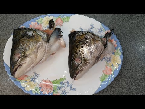 Video: Različice rib. Sorte rdečih rib