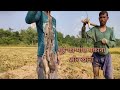 Mouse Hunting/Nepali Village Life/Fishing Man