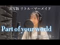 パート・オブ・ユア・ワールド - 豊原江理佳(from リトル・マーメイド) covered by 永原もも