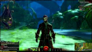 Guild Wars 2 -- Beta Aug, 09, 2012 Stress Test (Maxed Graphics)