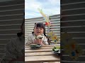 ののちゃんと歌おう!!️『こいのぼり』🎏 #shorts