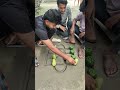 amazing game whit Ground Challenge  #funny #fun #funfridays #amazing #shortsyoutube #shortsfeed