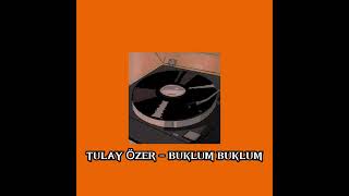 Tülay Özer - Büklüm Büklüm (speed up) Resimi