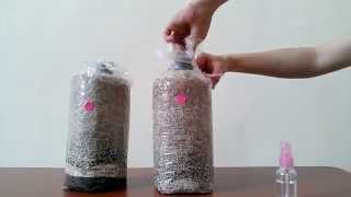 JR Mushroom Kit Growing Instruction