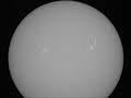 Solar Flare captured through a Lunt LS80T & DMK41 on 3-19-11