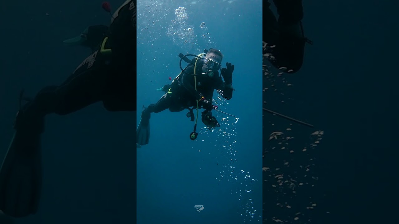 Dive into History: Explore the Mysterious Zainab Wreck in Dubai. 