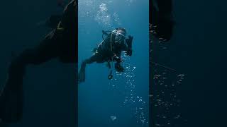 Dive into History: Explore the Mysterious Zainab Wreck in Dubai. #bermudadivingcenter