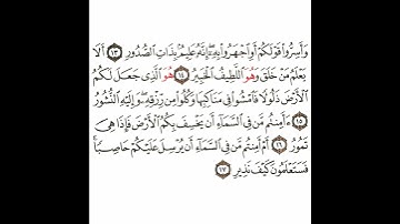 سورة الملك 4 القسم الرابع تكرار كيفي من .. وأسروا قولكم أو اجهروا به .. إلى .. فستعلمون كيف نذير