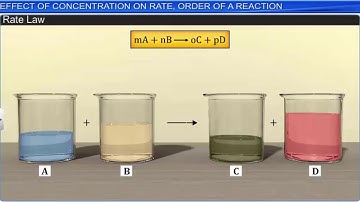 CBSE Class 12 Chemistry || Chemical Kinetics || Full Chapter || By Shiksha House
