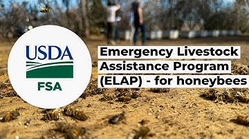 How to Apply + What is Required for ELAP Assistance w/ Expert Logan Clancey & Doug Desoto