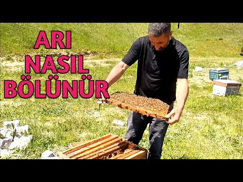 Video: Havuz Partisinde Nasıl Şık Görünülür: 12 Adım (Resimlerle)